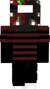 ninja flitsky