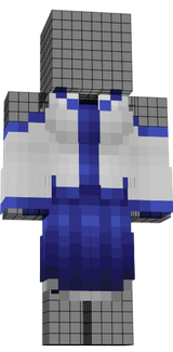 Sanae-first-stage
