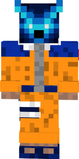 skin 2