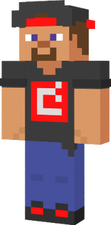 Desarrollador Steve