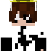 regreg