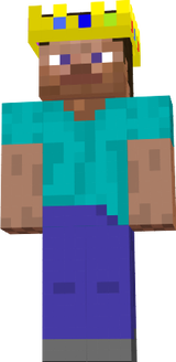 t steve