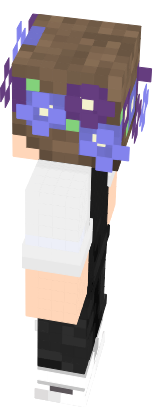 Preview of texture: ball max