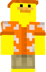 Skin 1