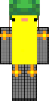pollo