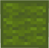 wool_colored_green