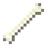 bone