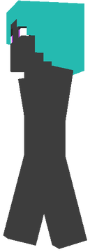 pony skin
