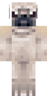pug de fiesta