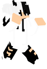 heidarZero2