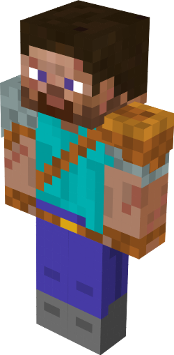 Preview of texture: steve pro