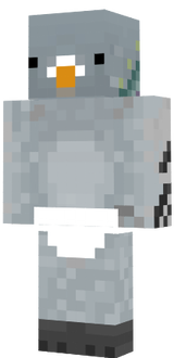 poop pigeon