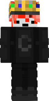 SKIN MINEBIKS