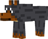 Dog coco