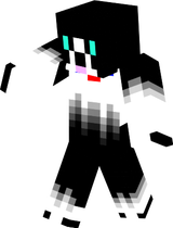 v1