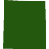 Kaktüs