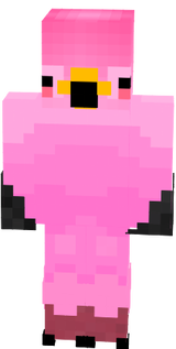 flamingo