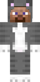 cat steve