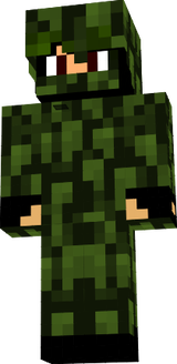 Camuflao