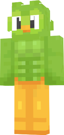 Preview of texture: duolingo