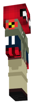 www