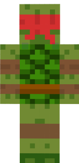 tortue