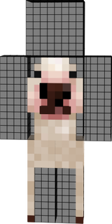 walter