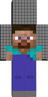 steve
