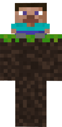 Preview of texture: Steve