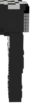 skeletonplainn