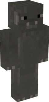 ss