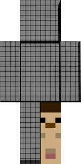 skin mini