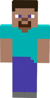 minimalista steve