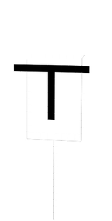 tym228335