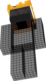 head