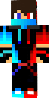 DDSS
