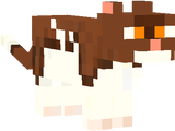 Ginkgokit/paw