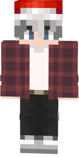 scin 17