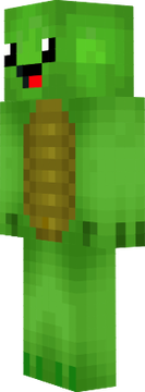 turtle