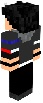sas 3.0