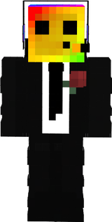 vinghganzug2