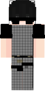 dskin dcx 