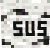 dsds