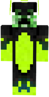 Golden Drachen Meister Ninjacraft