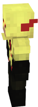 flashrevers