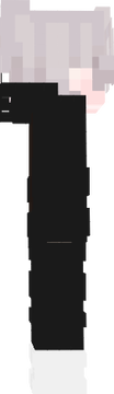 123213