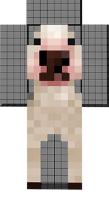 walter