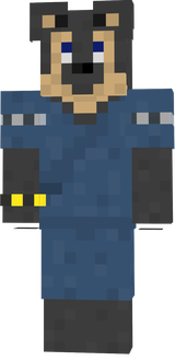 ARMINX2 ver2