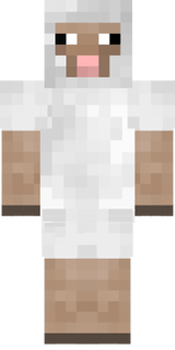 sheep