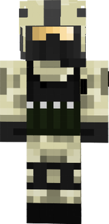 Armored Military skin 
